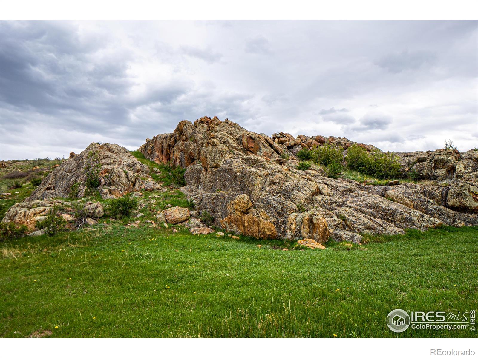 816 Meadow Way Livermore CO 80536