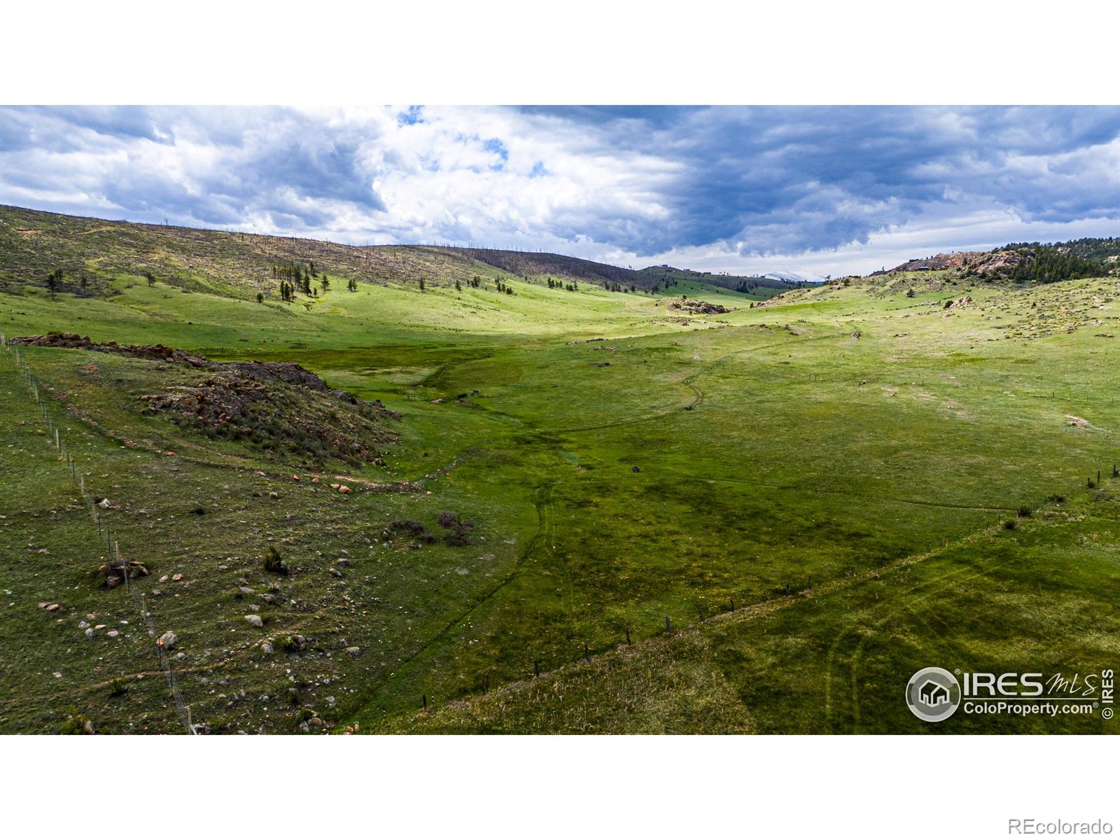 816 Meadow Way Livermore CO 80536