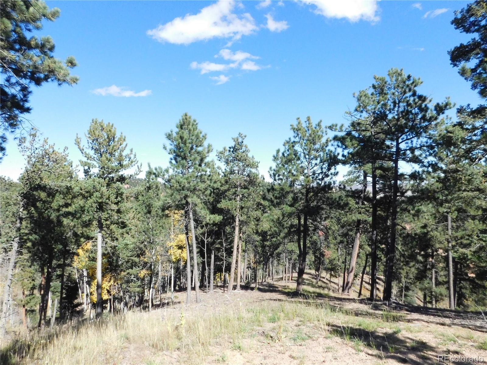 13886 Boulder Lane Larkspur CO 80118
