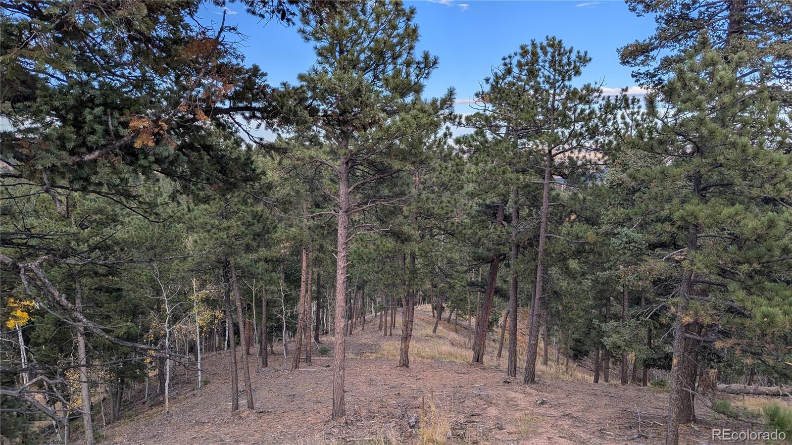 13886 Boulder Lane Larkspur CO 80118