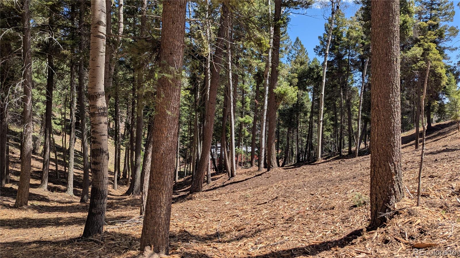 13886 Boulder Lane Larkspur CO 80118