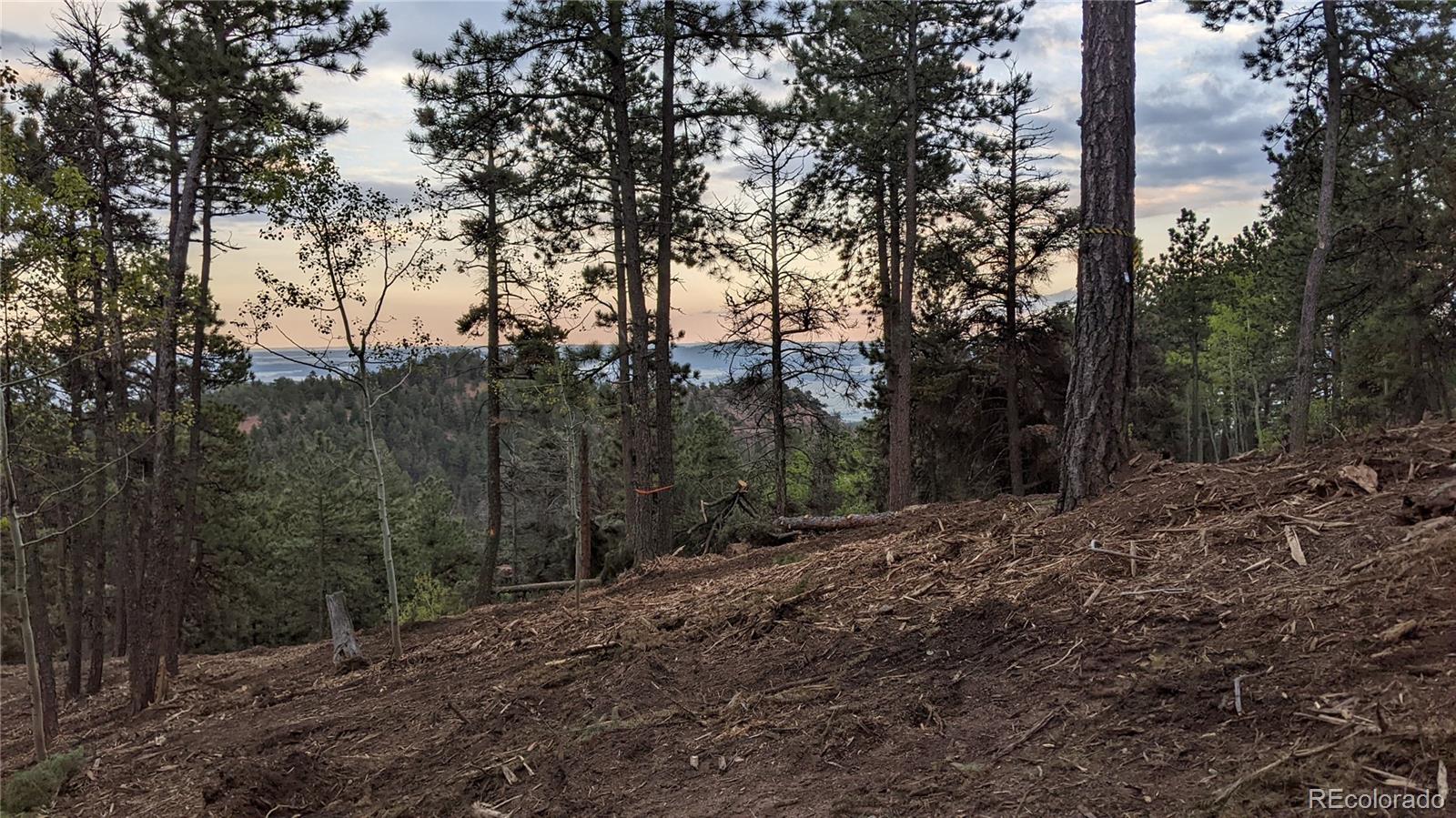 13886 Boulder Lane Larkspur CO 80118