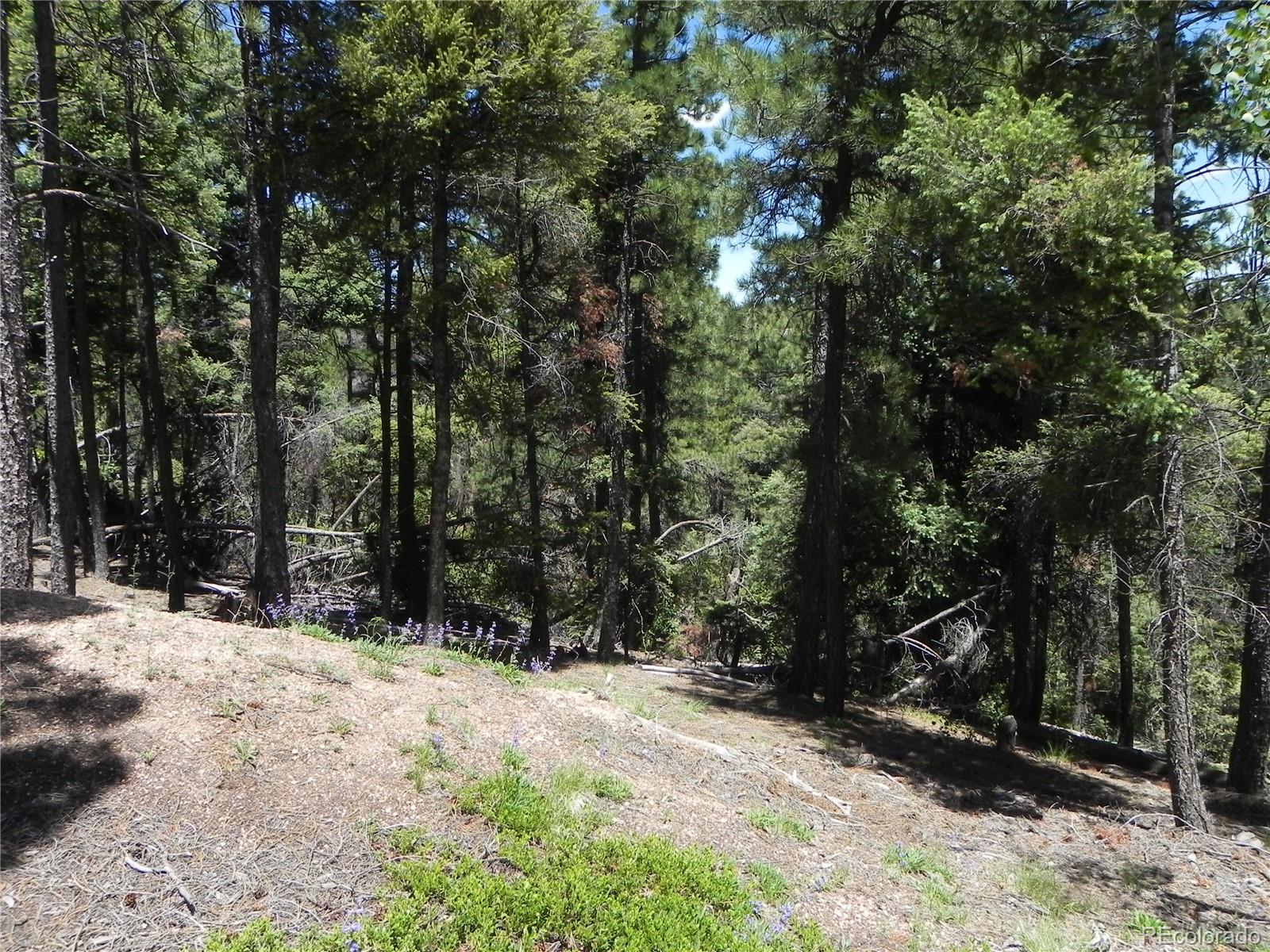 13886 Boulder Lane Larkspur CO 80118