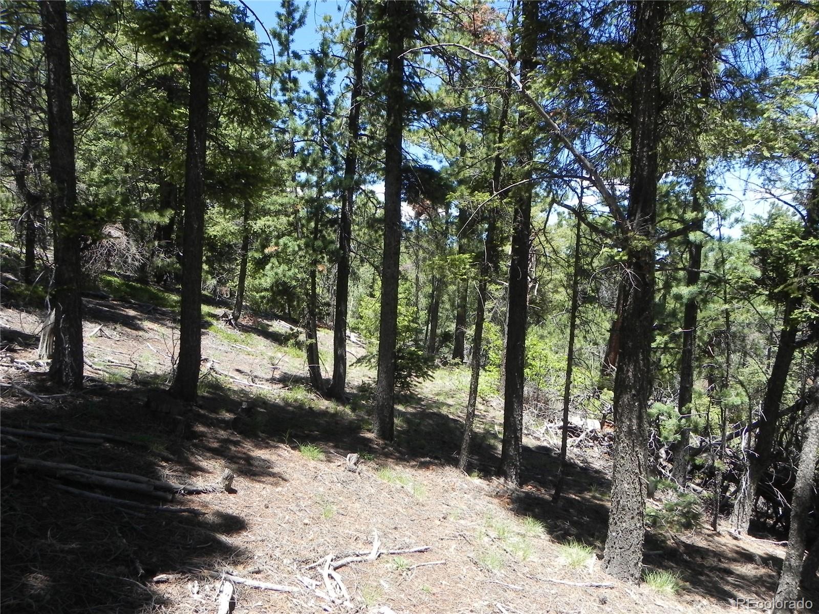 13886 Boulder Lane Larkspur CO 80118