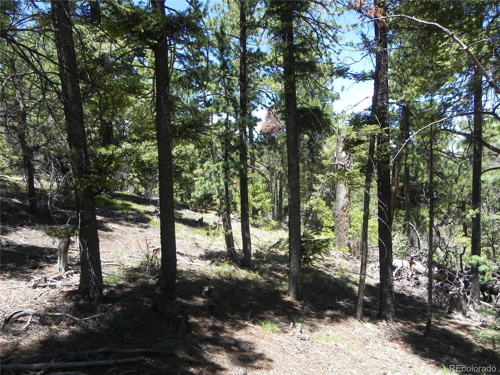 13886 Boulder Lane Larkspur CO 80118