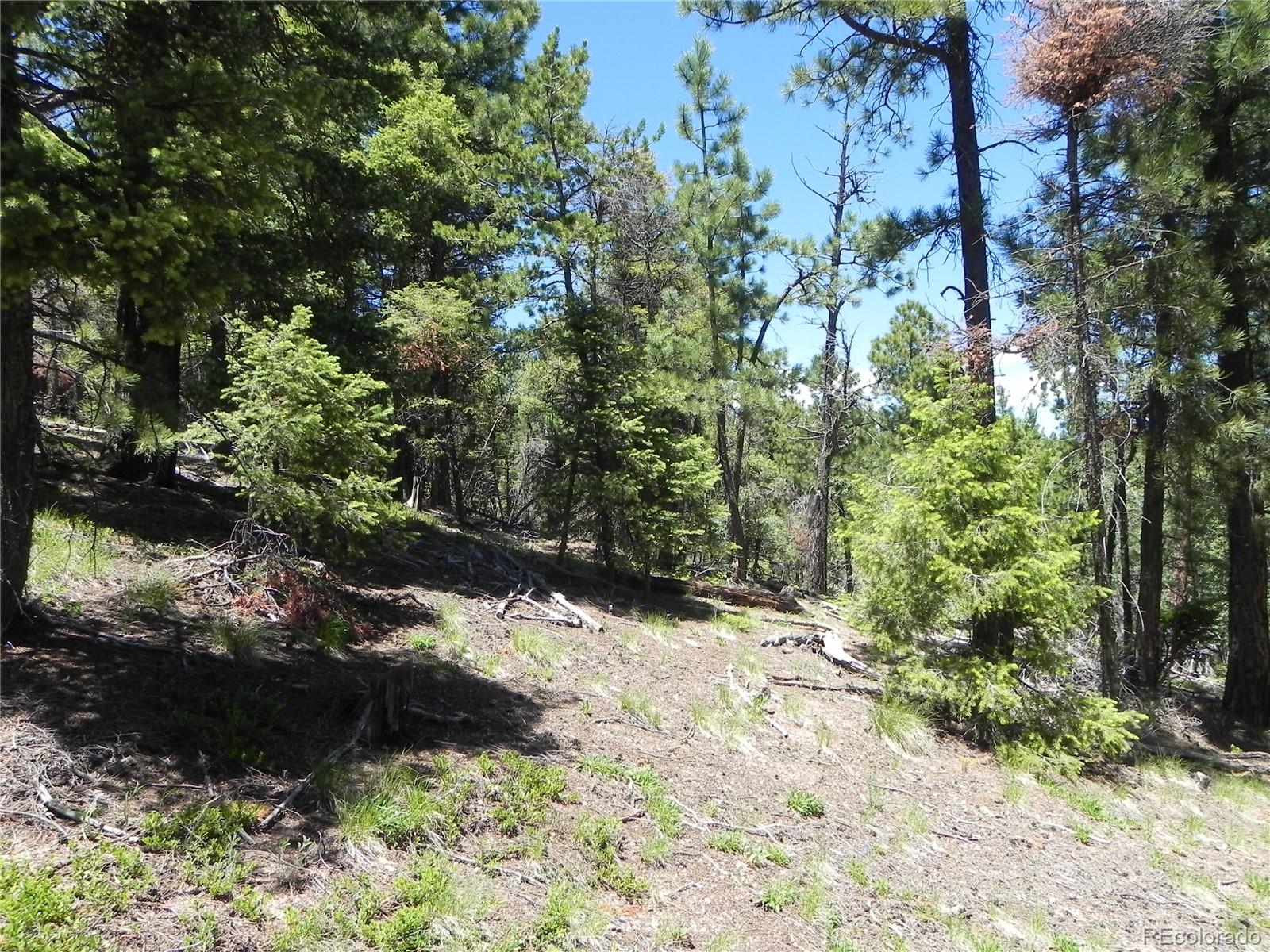 13886 Boulder Lane Larkspur CO 80118