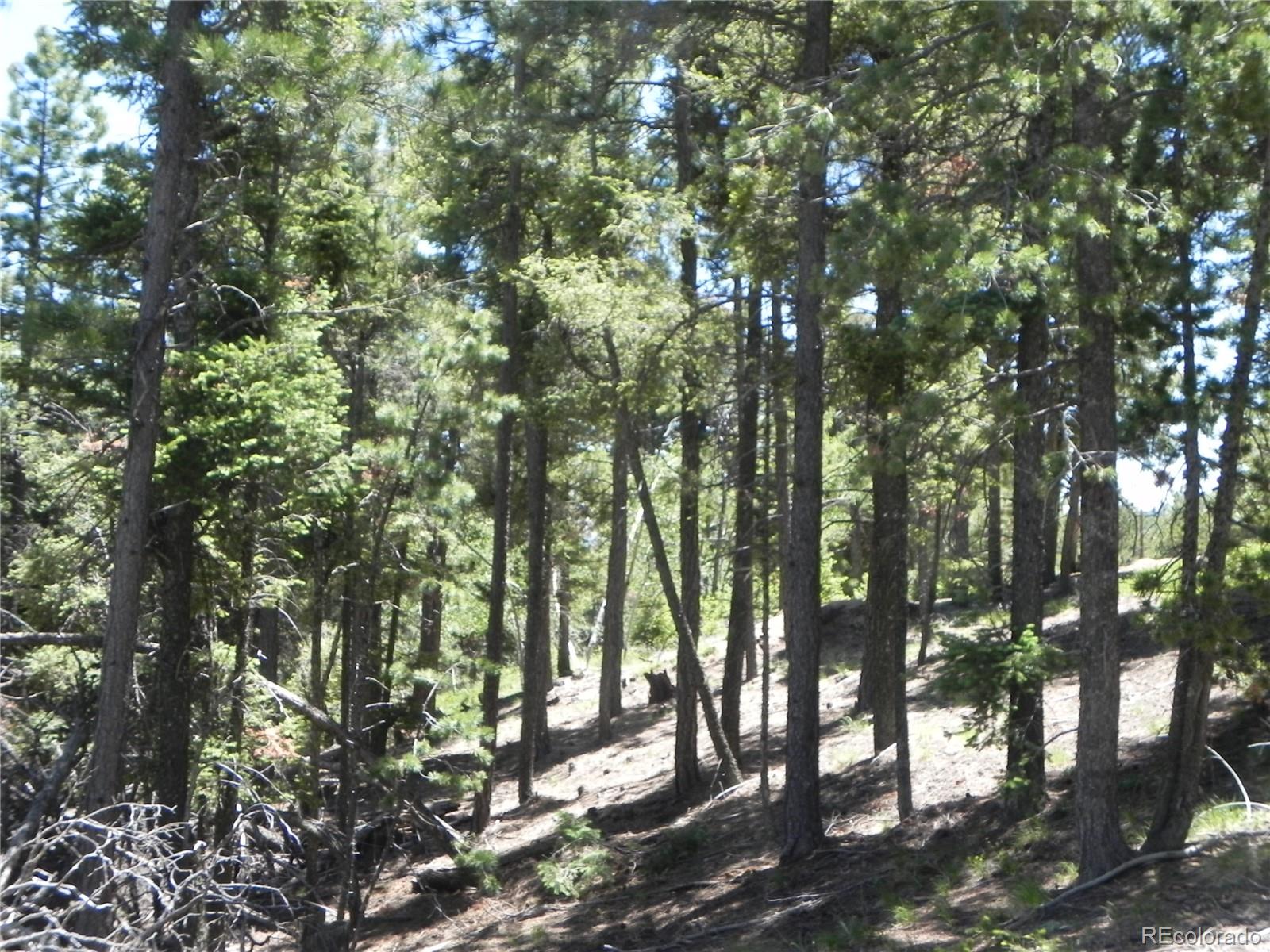 13886 Boulder Lane Larkspur CO 80118