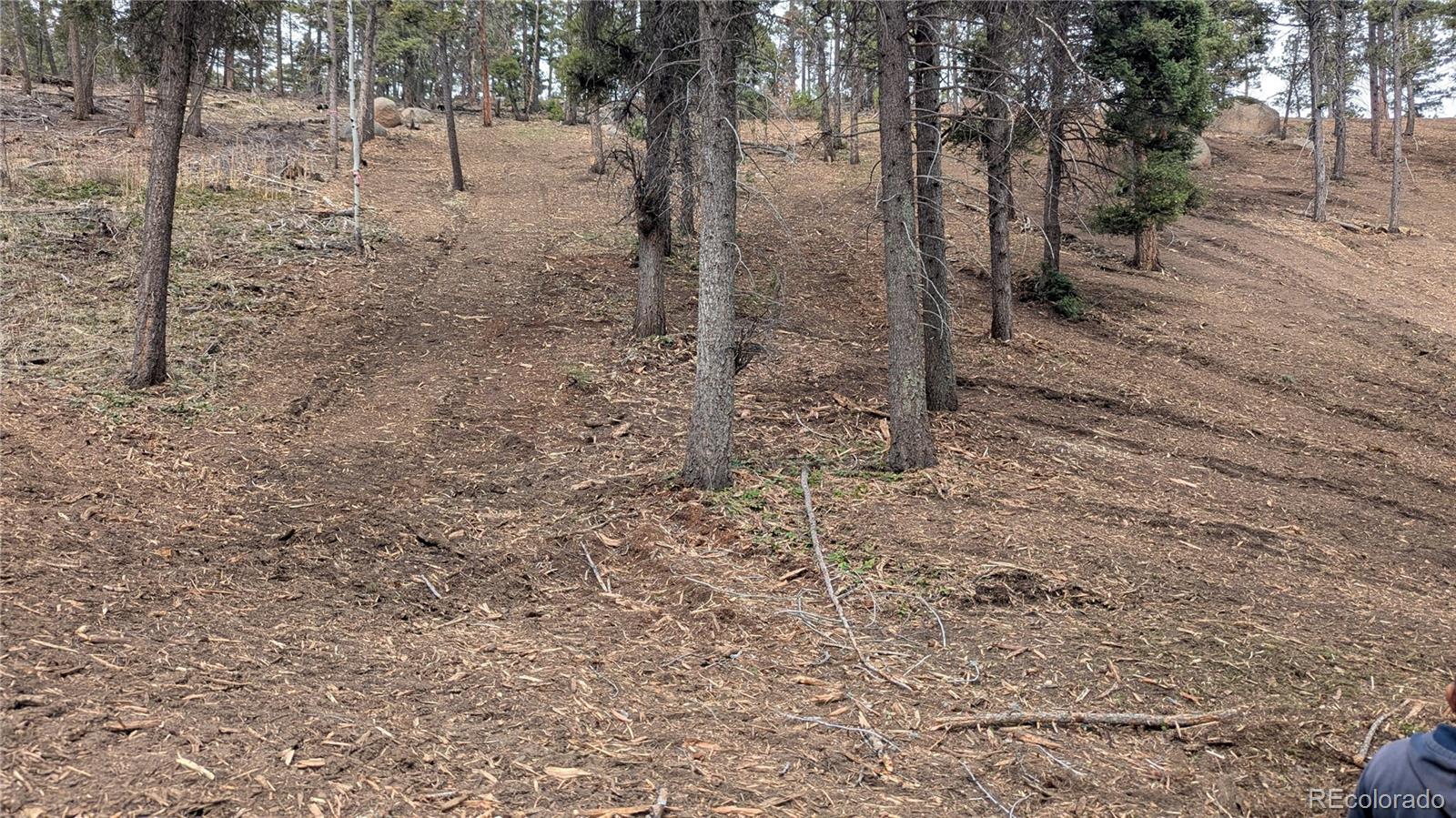 13886 Boulder Lane Larkspur CO 80118
