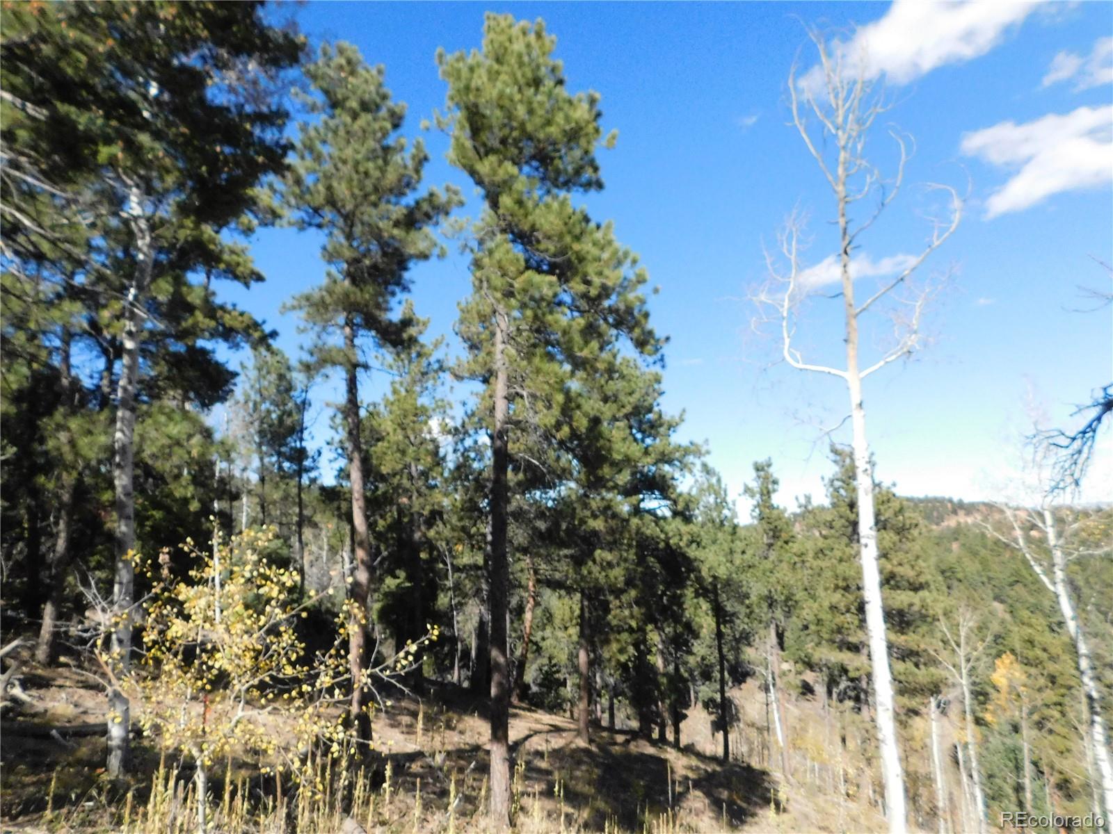 13886 Boulder Lane Larkspur CO 80118