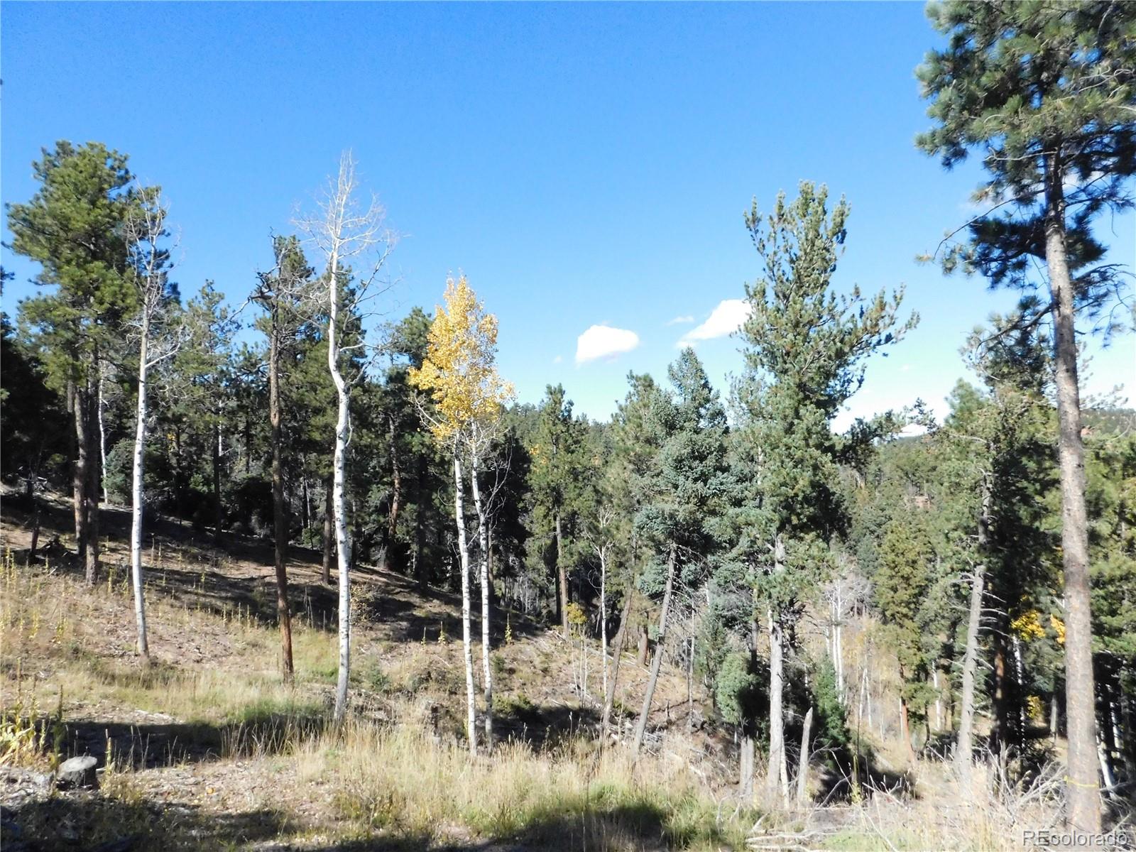13886 Boulder Lane Larkspur CO 80118