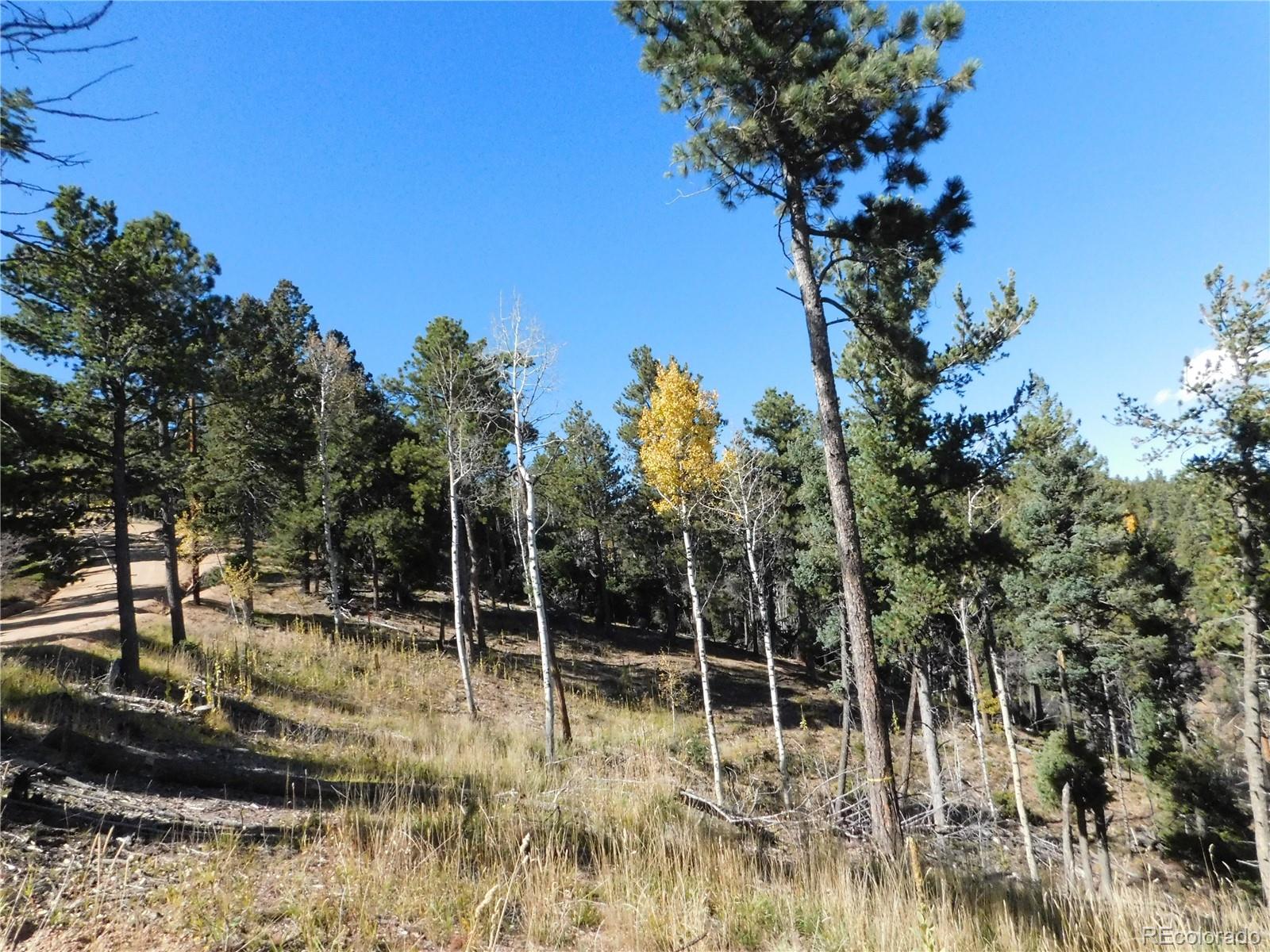 13886 Boulder Lane Larkspur CO 80118