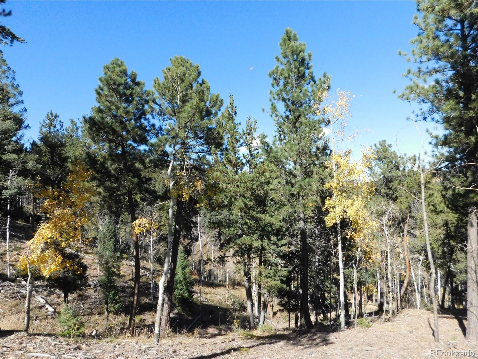 13886 Boulder Lane Larkspur CO 80118
