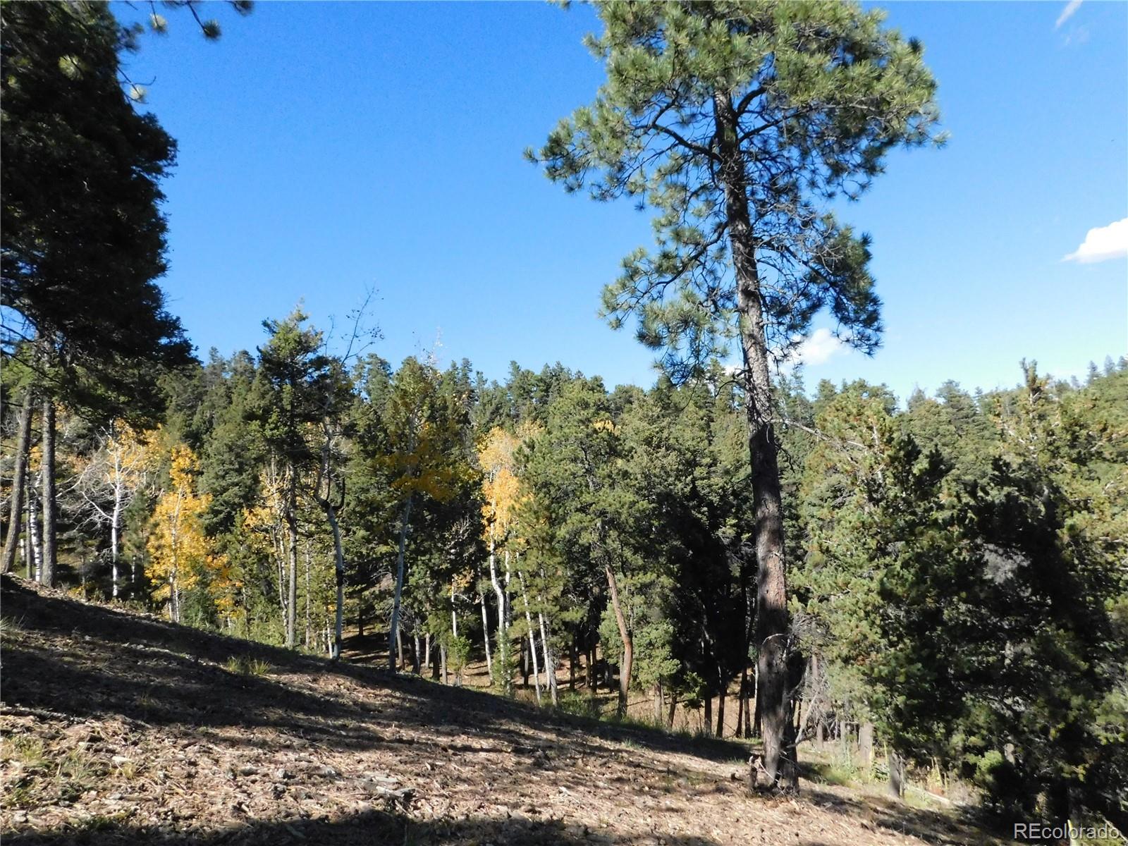 13886 Boulder Lane Larkspur CO 80118