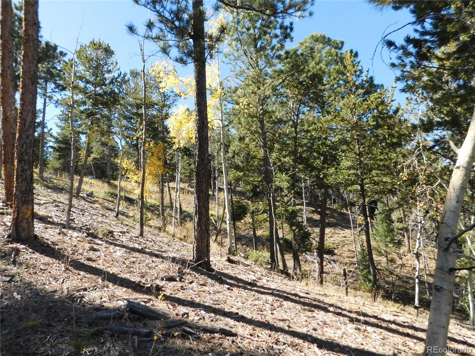 13886 Boulder Lane Larkspur CO 80118