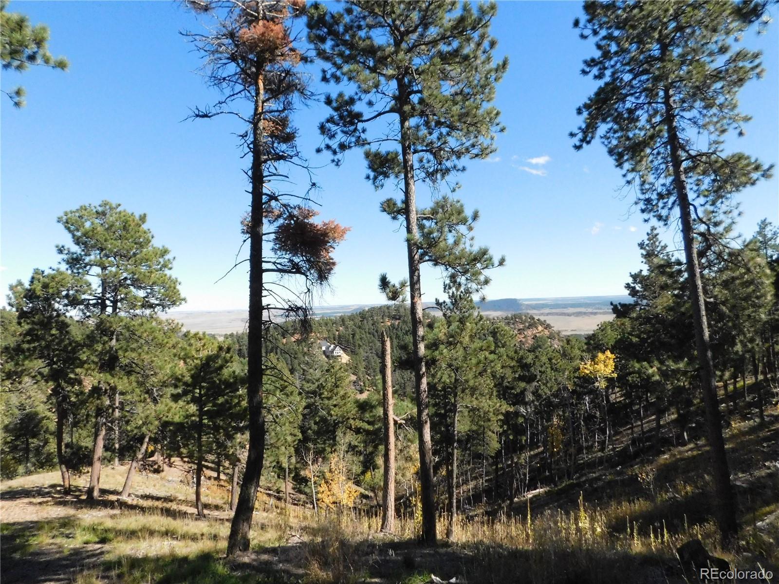 13886 Boulder Lane Larkspur CO 80118