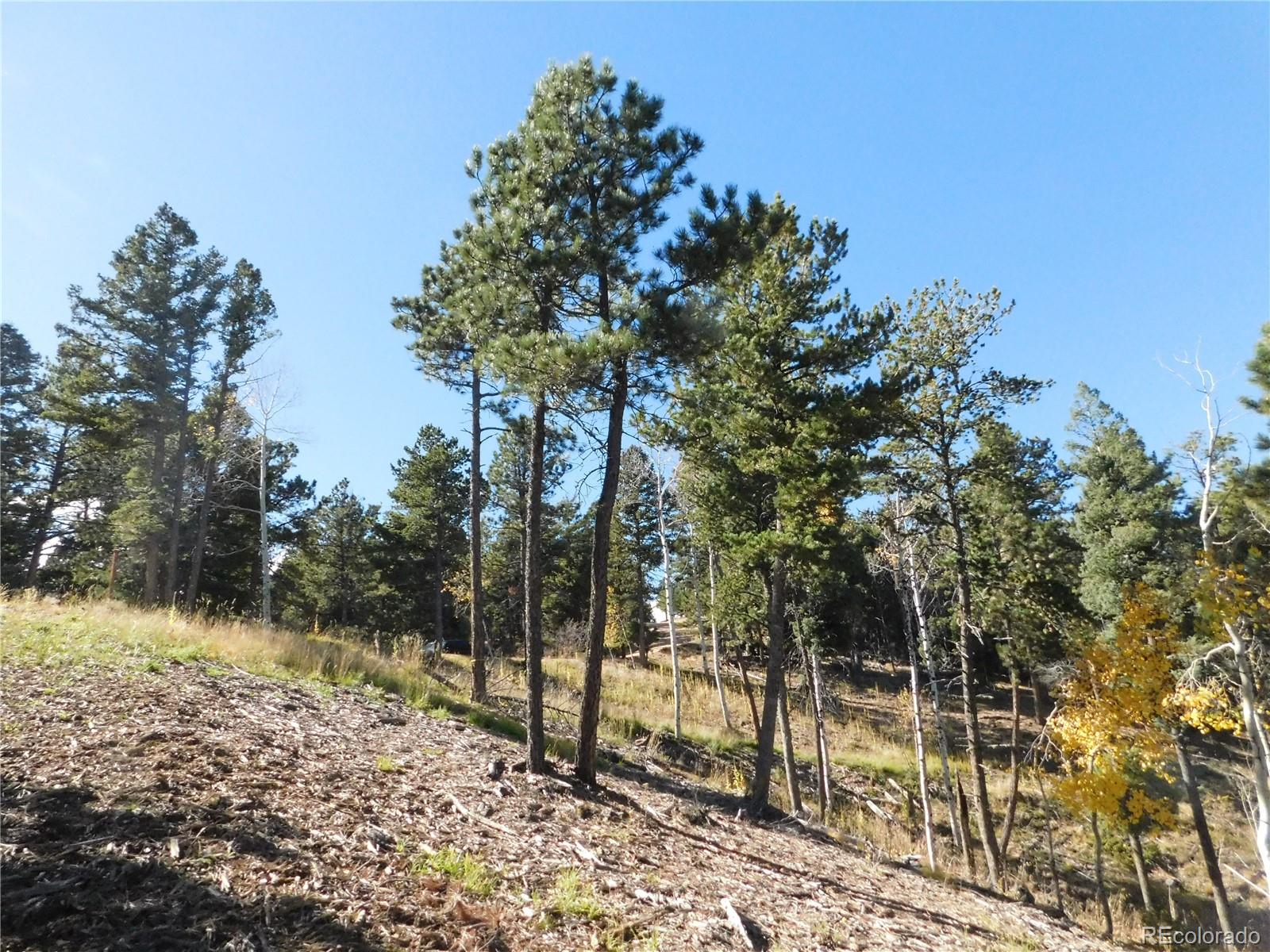 13886 Boulder Lane Larkspur CO 80118
