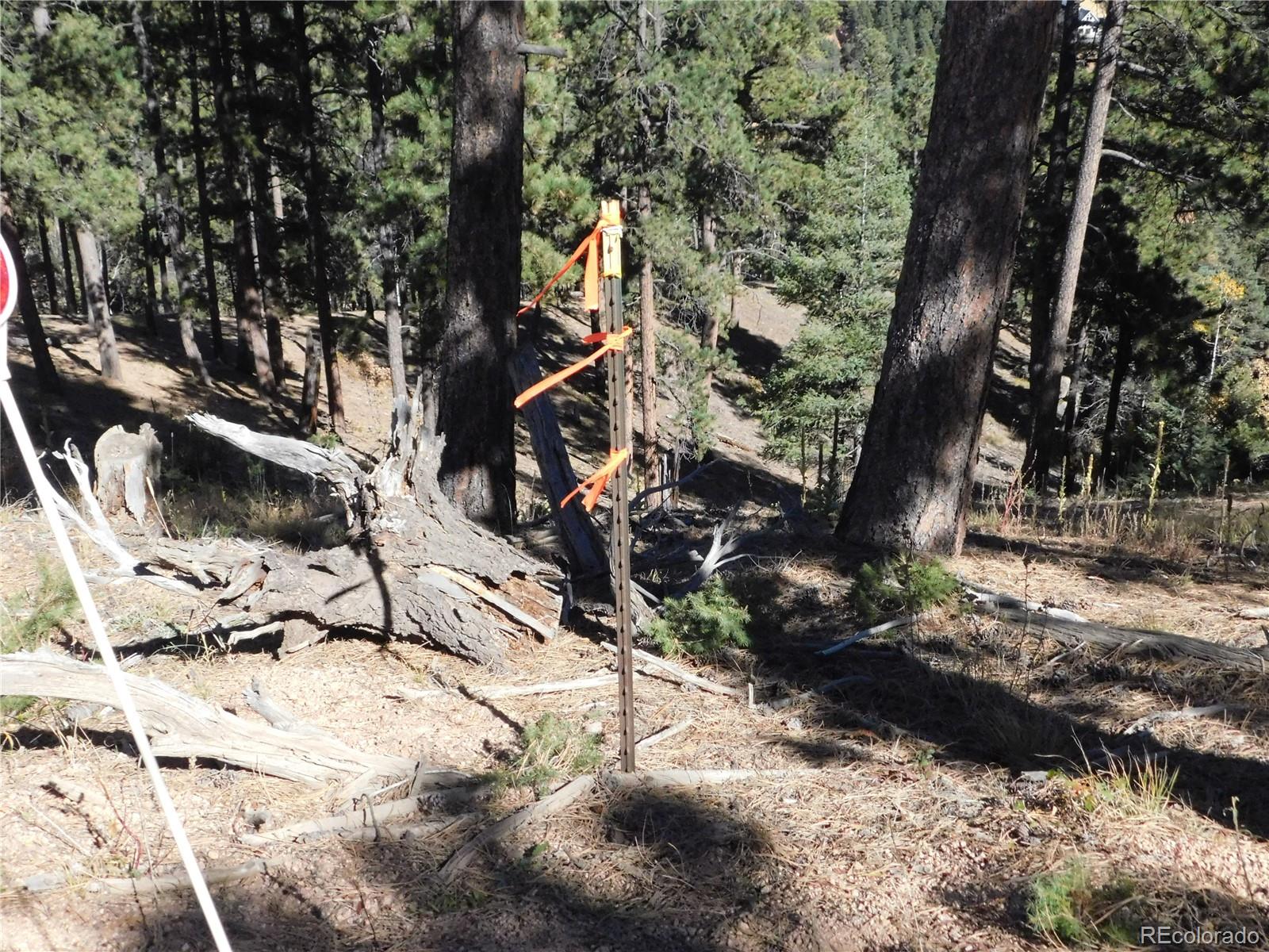 13886 Boulder Lane Larkspur CO 80118