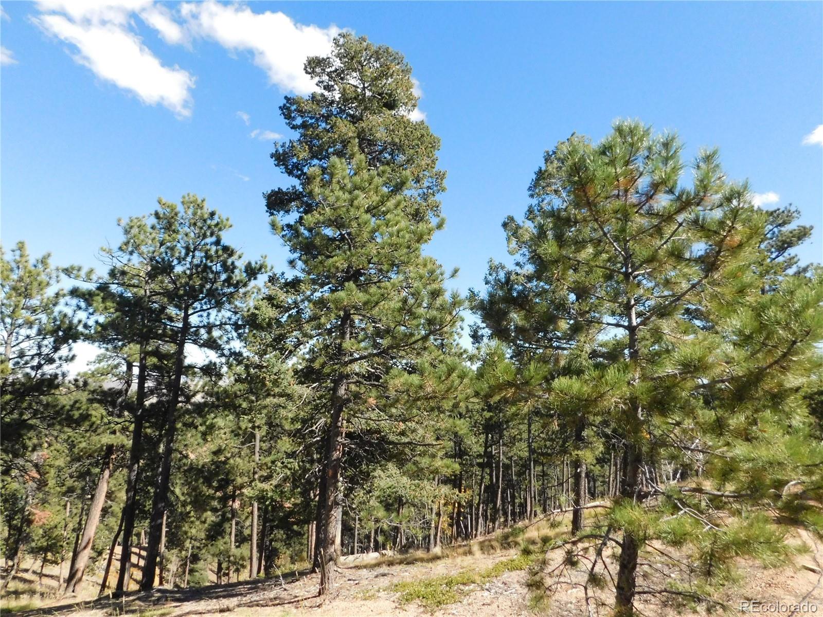 13886 Boulder Lane Larkspur CO 80118