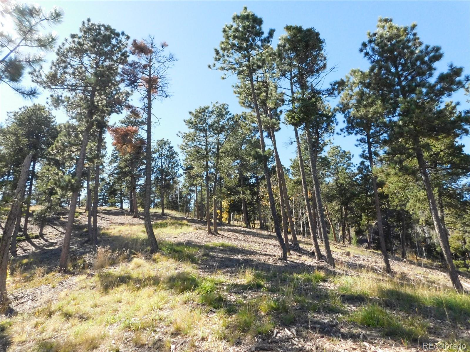 13886 Boulder Lane Larkspur CO 80118