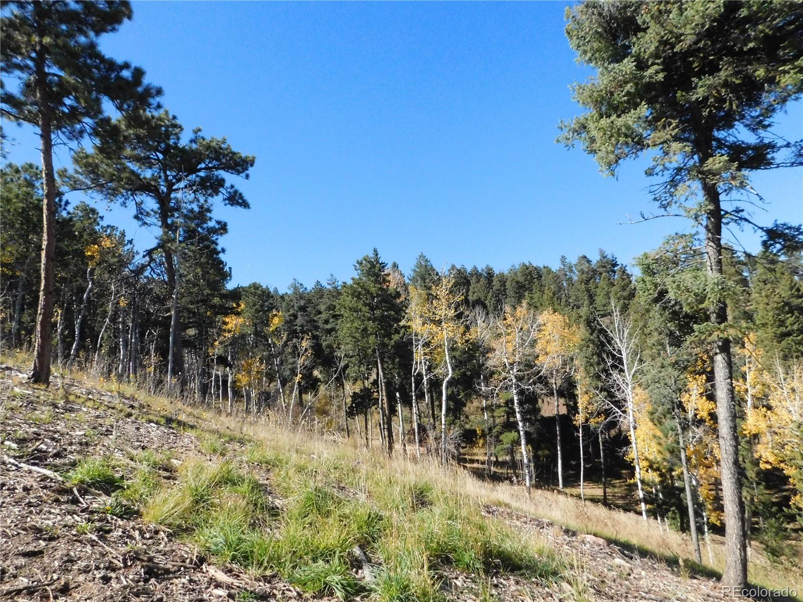 13886 Boulder Lane Larkspur CO 80118