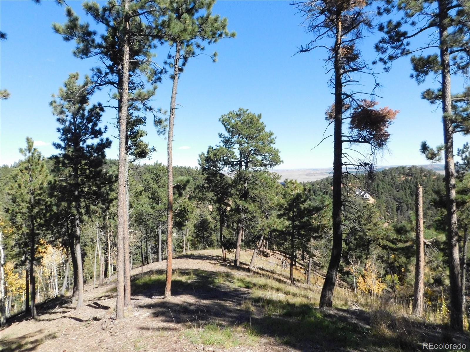 13886 Boulder Lane Larkspur CO 80118