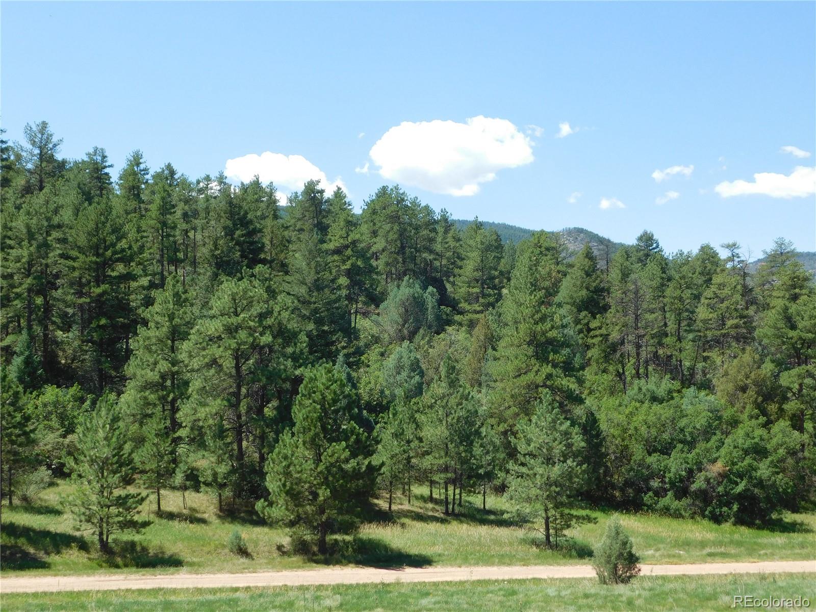 4668 Comanche Drive Larkspur CO 80118