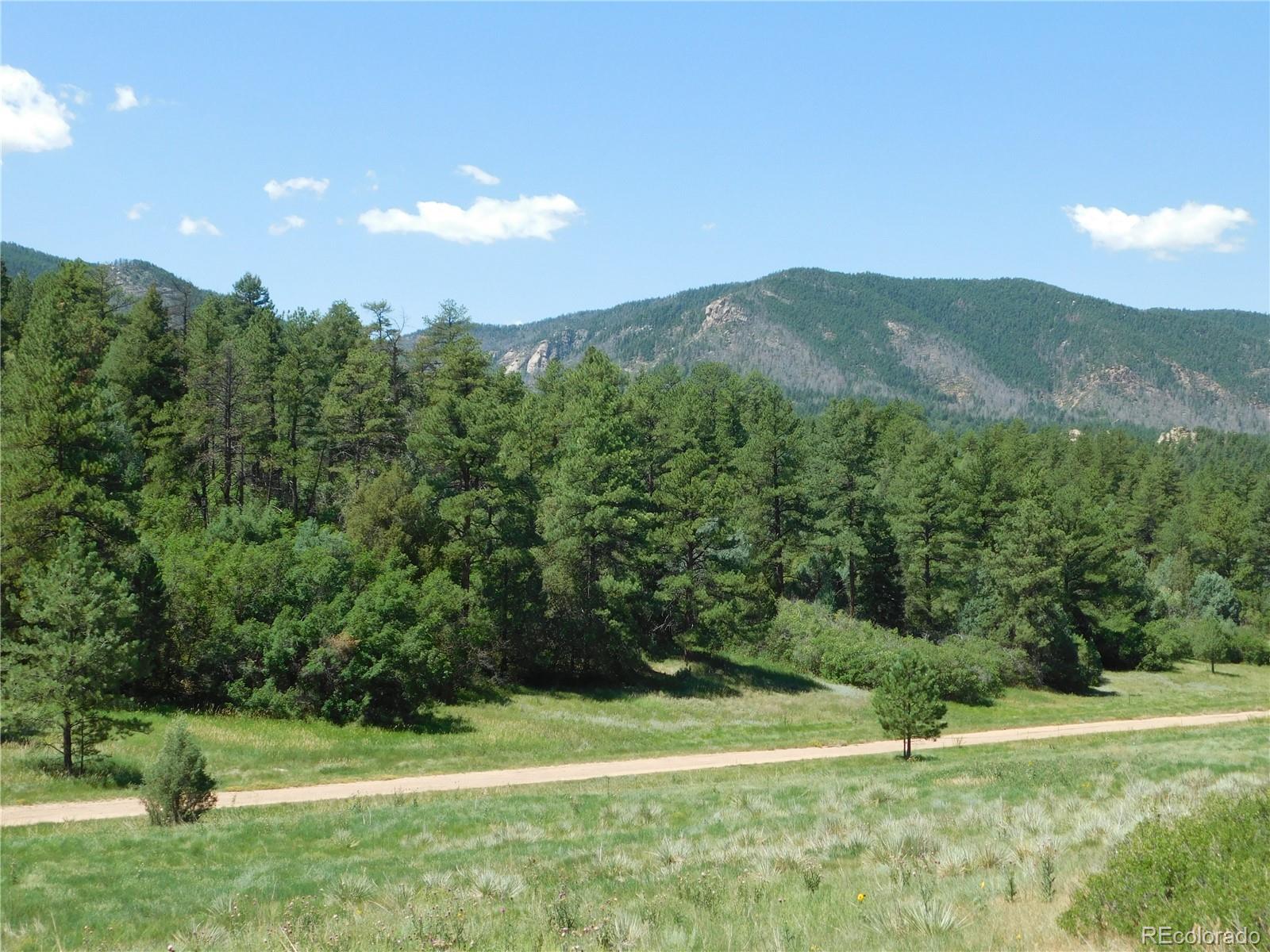 4668 Comanche Drive Larkspur CO 80118