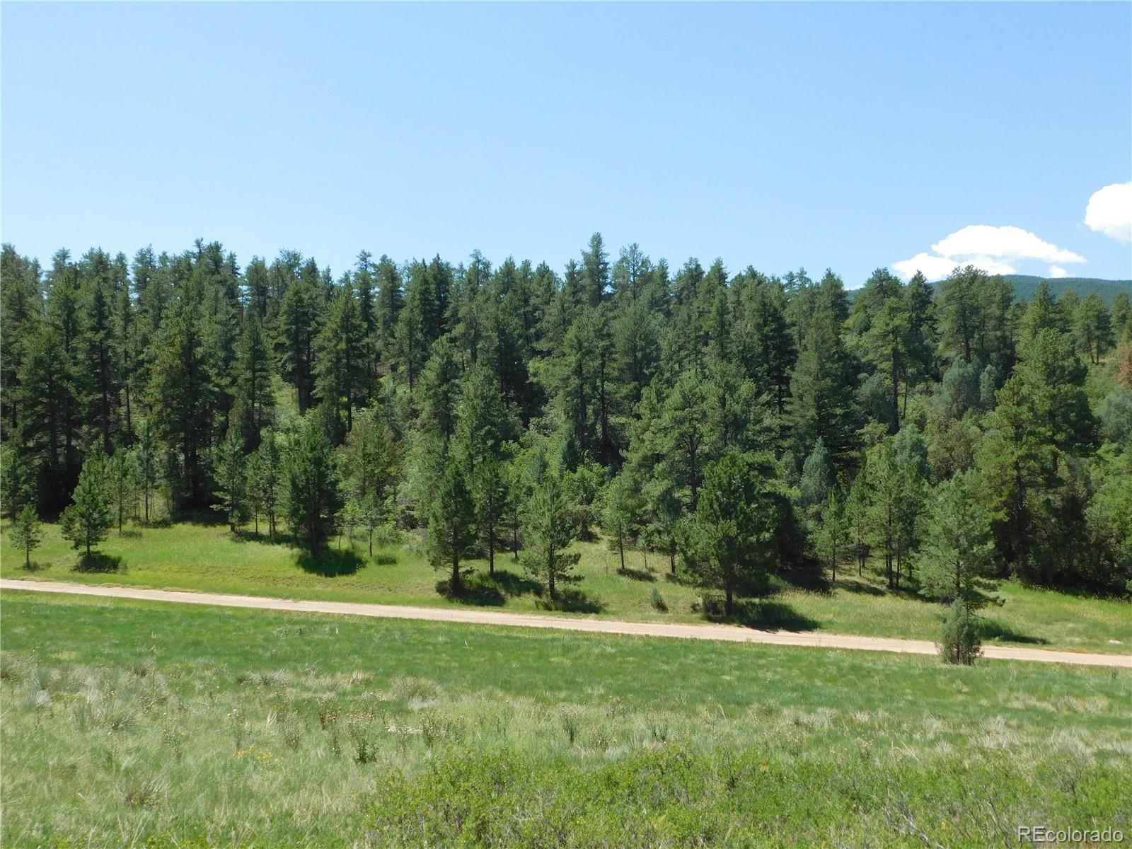 4668 Comanche Drive Larkspur CO 80118