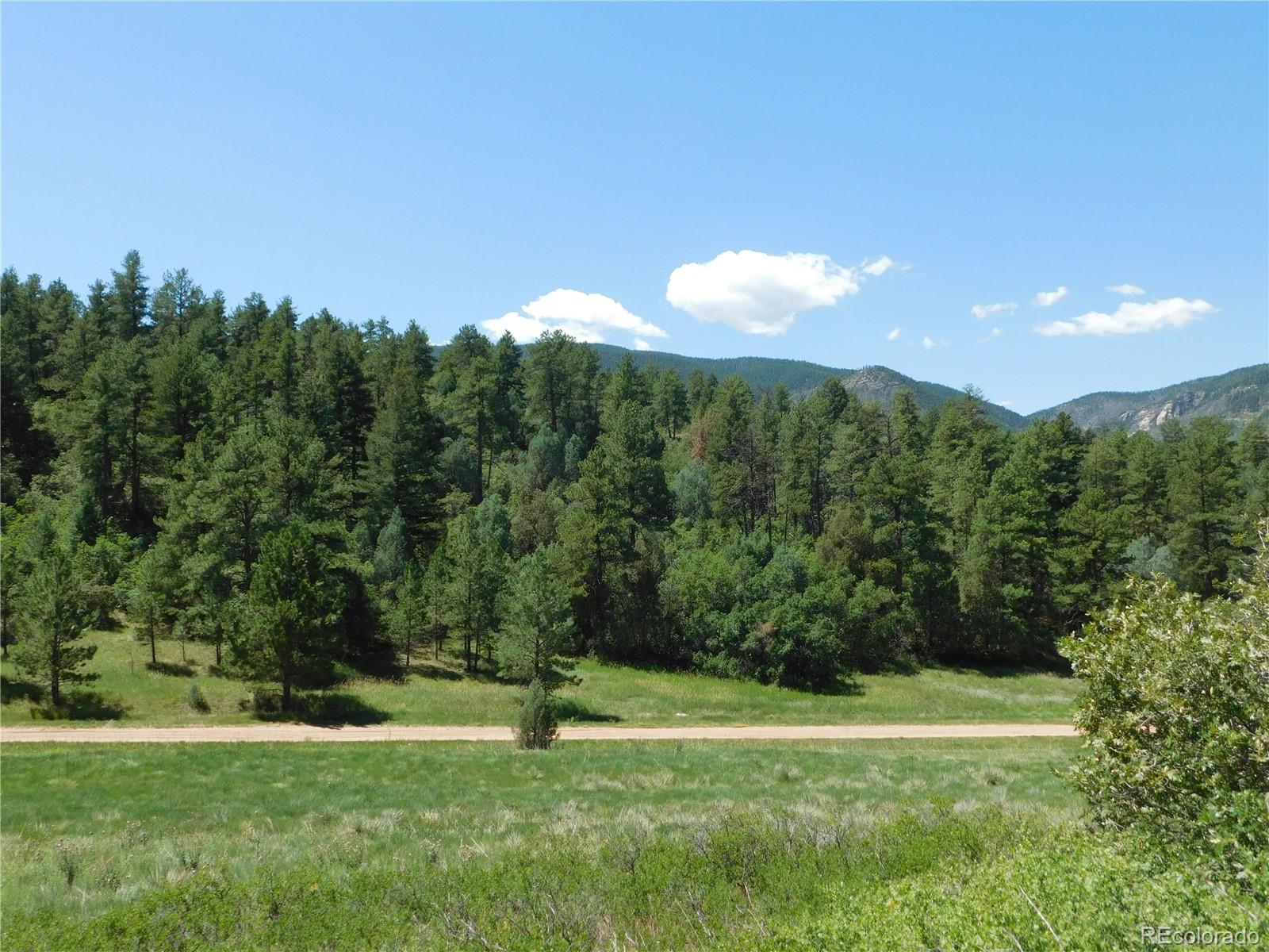 4668 Comanche Drive Larkspur CO 80118