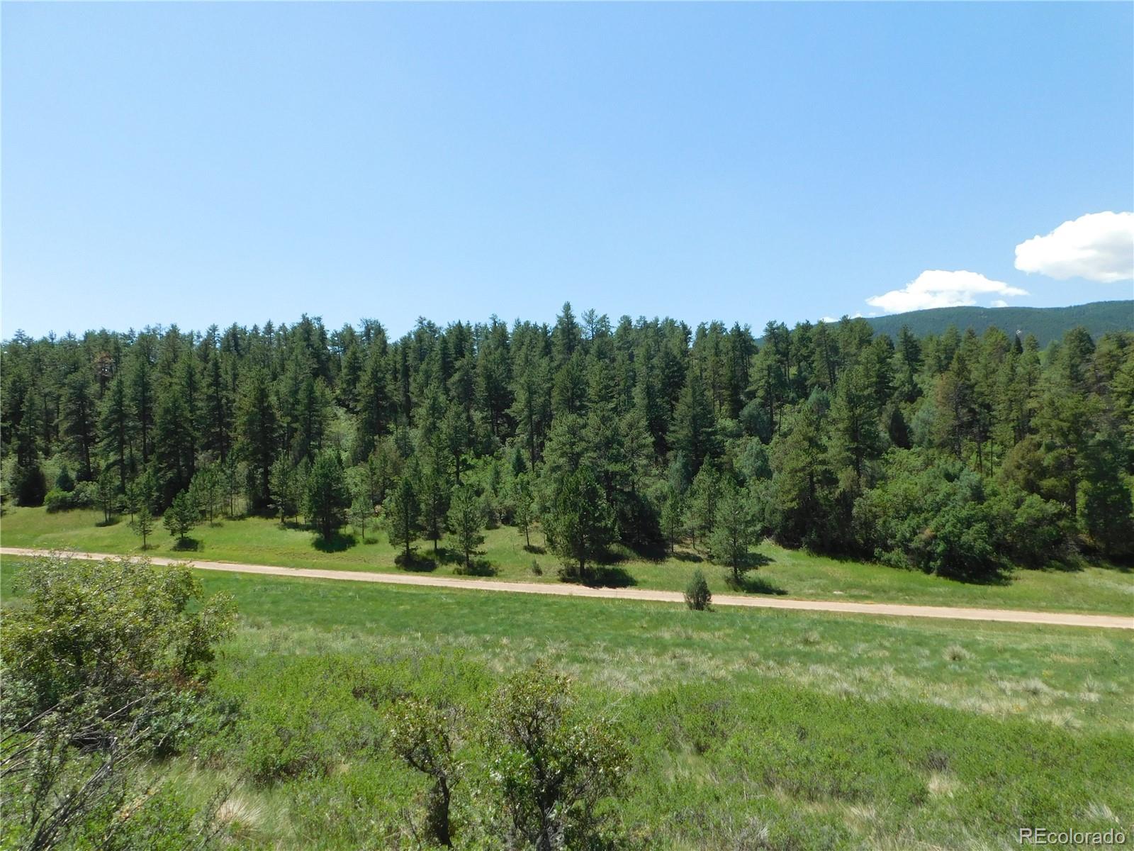 4668 Comanche Drive Larkspur CO 80118