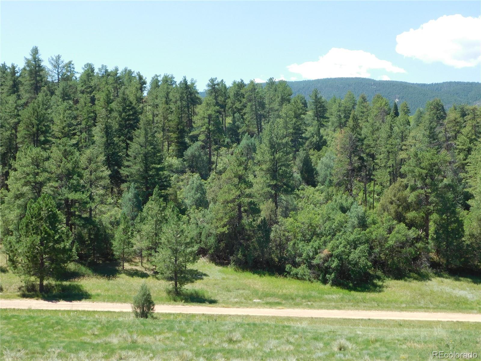 4668 Comanche Drive Larkspur CO 80118