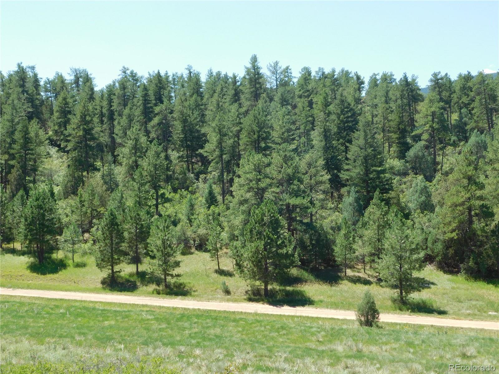 4668 Comanche Drive Larkspur CO 80118