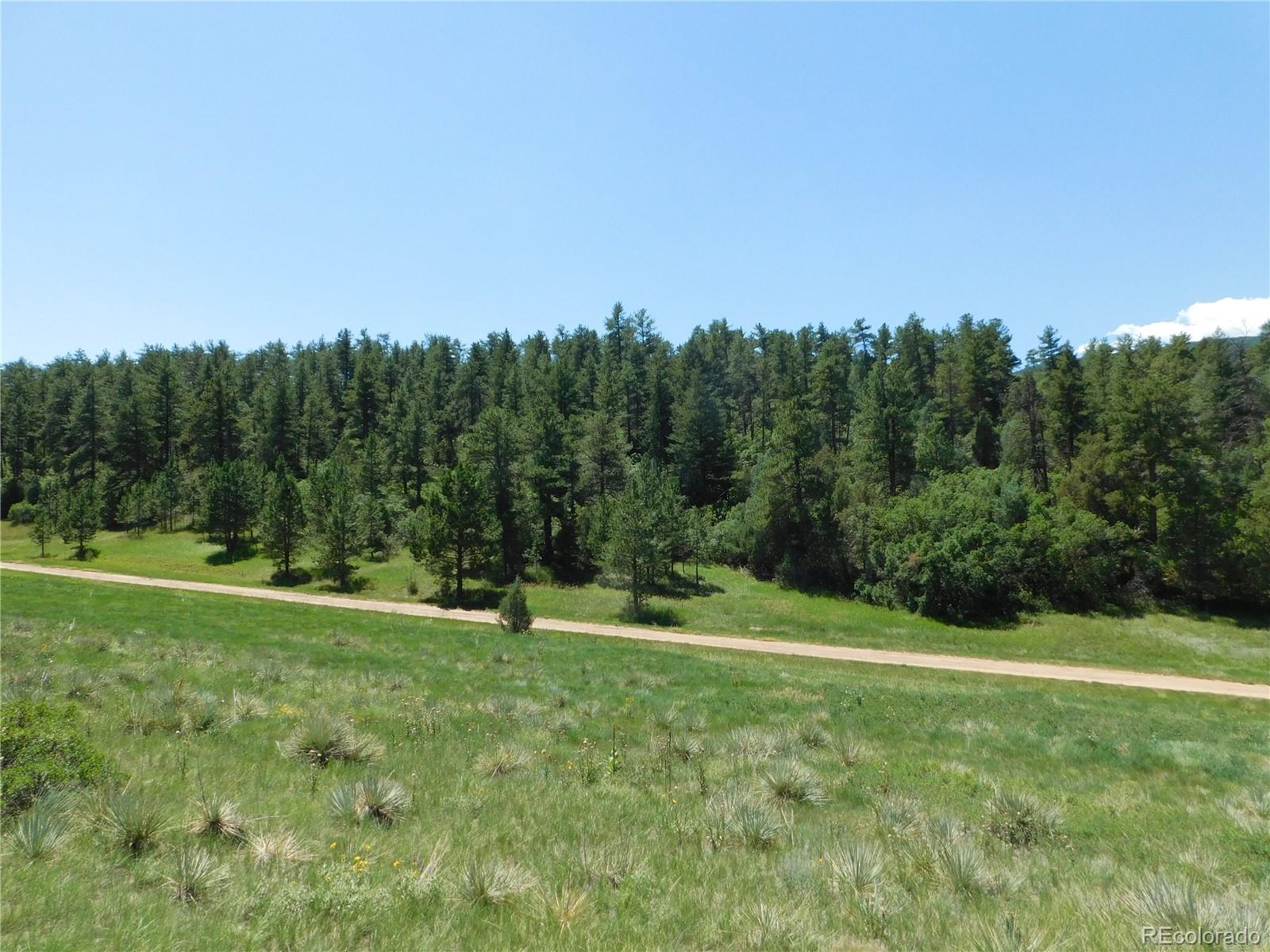 4668 Comanche Drive Larkspur CO 80118