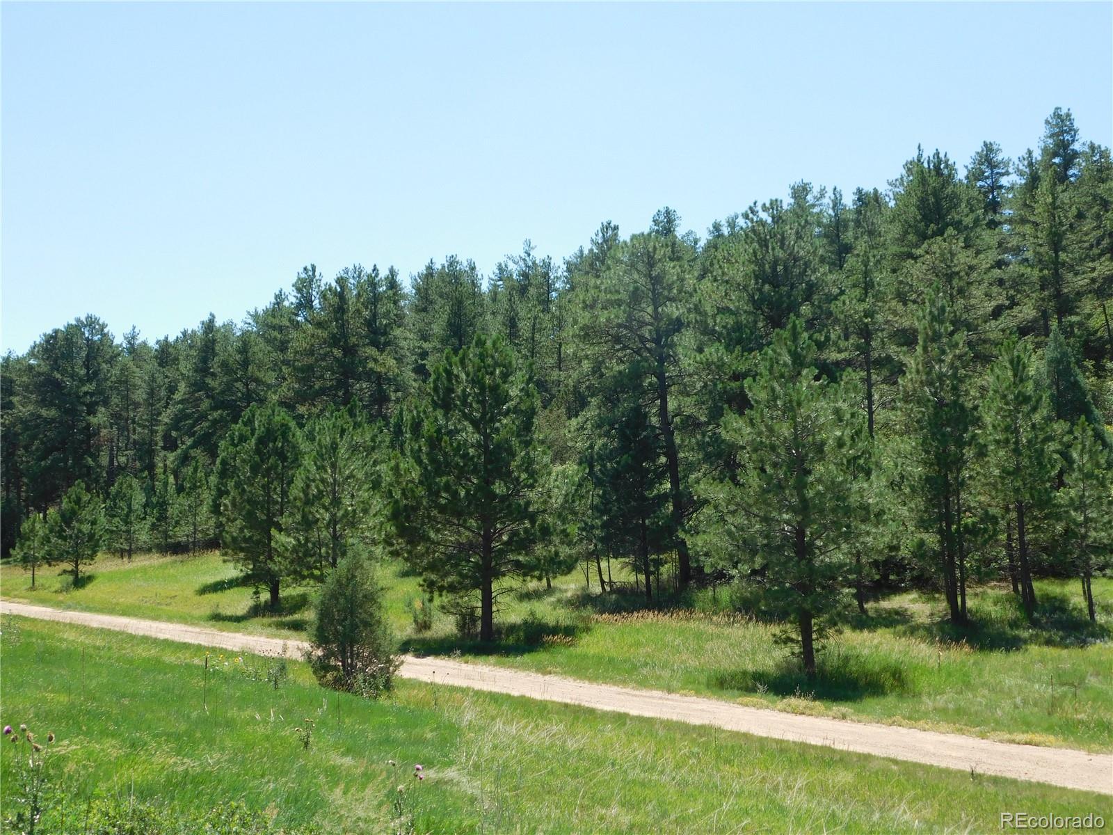 4668 Comanche Drive Larkspur CO 80118