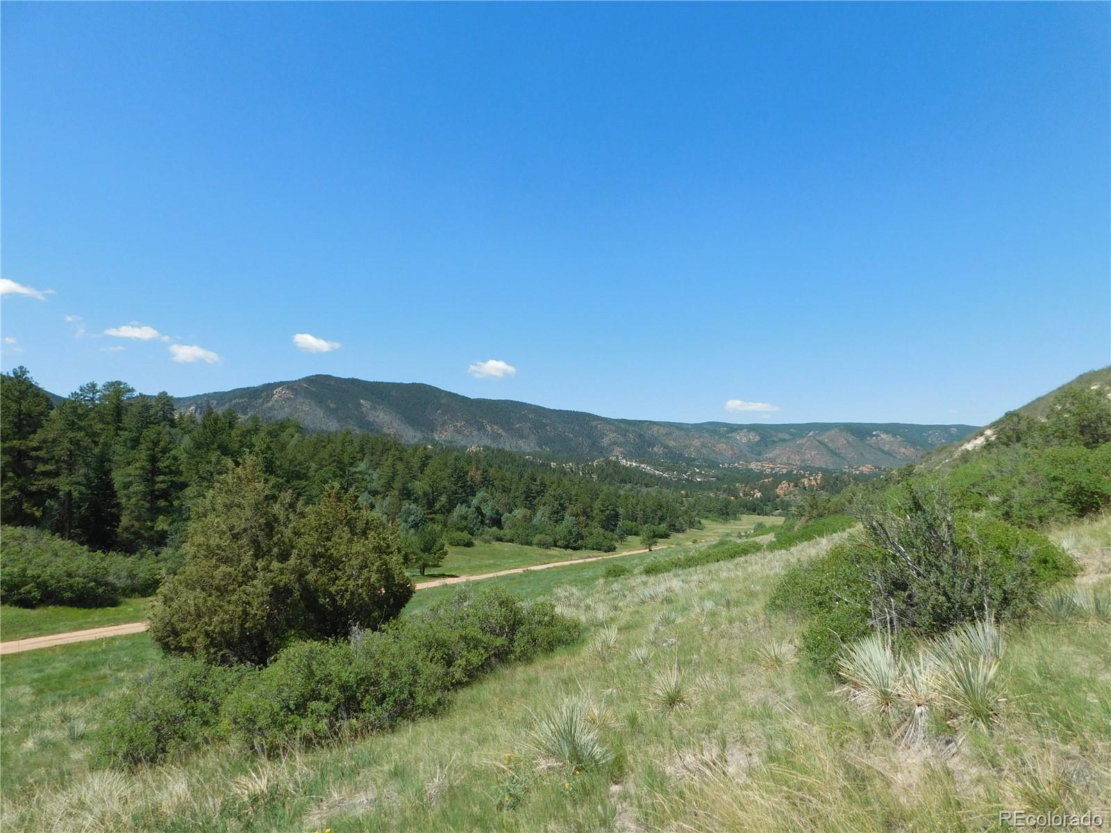 4668 Comanche Drive Larkspur CO 80118