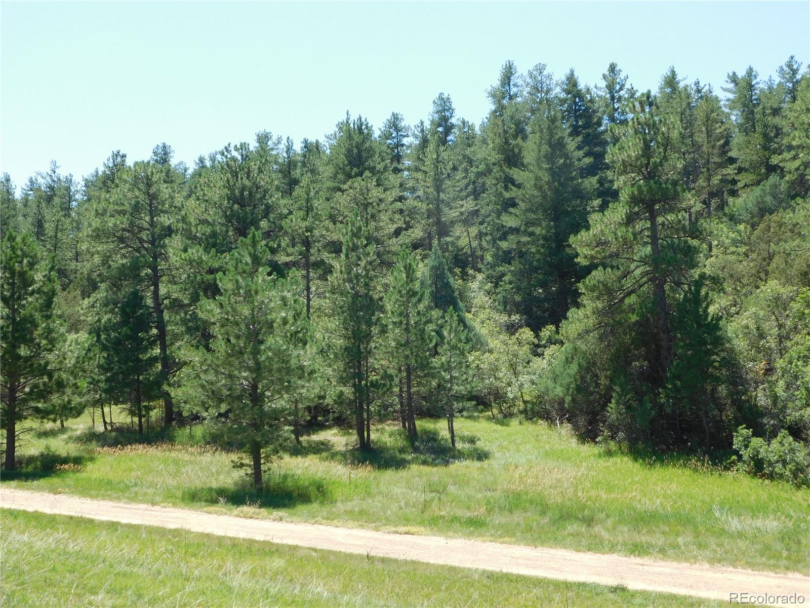 4668 Comanche Drive Larkspur CO 80118