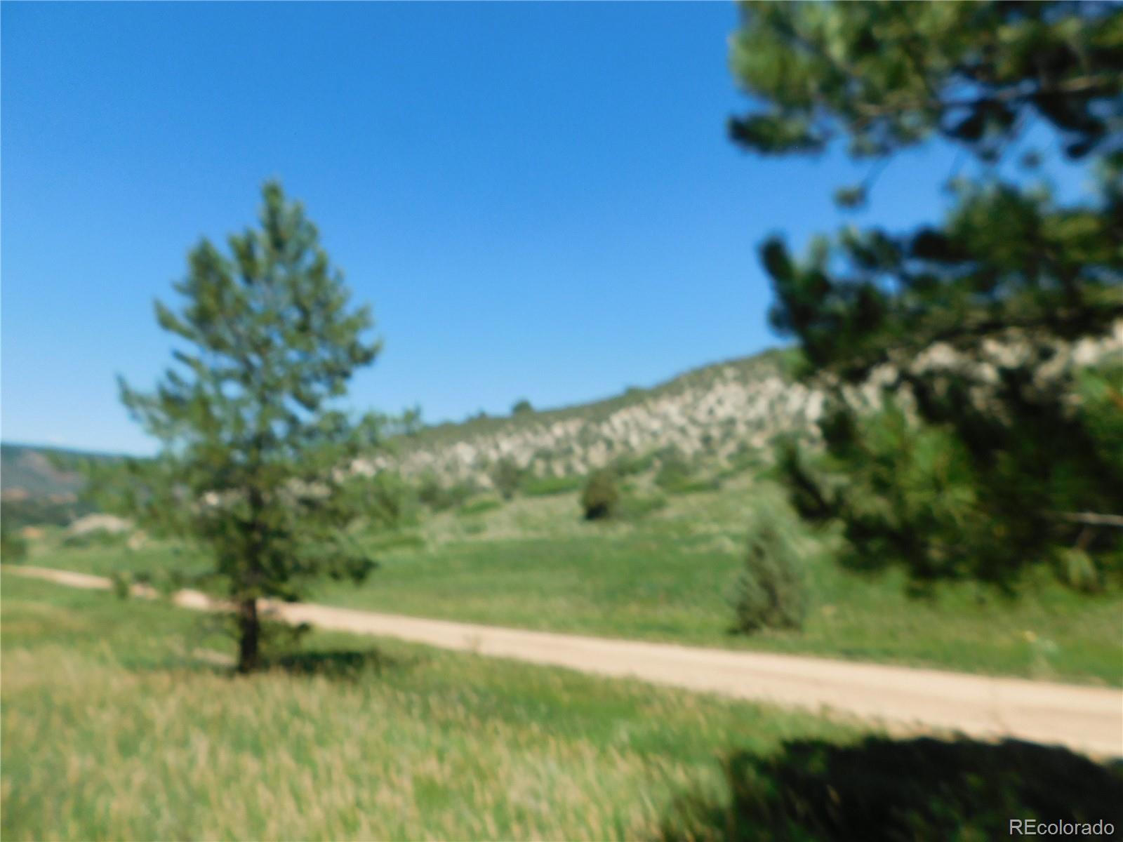 4668 Comanche Drive Larkspur CO 80118
