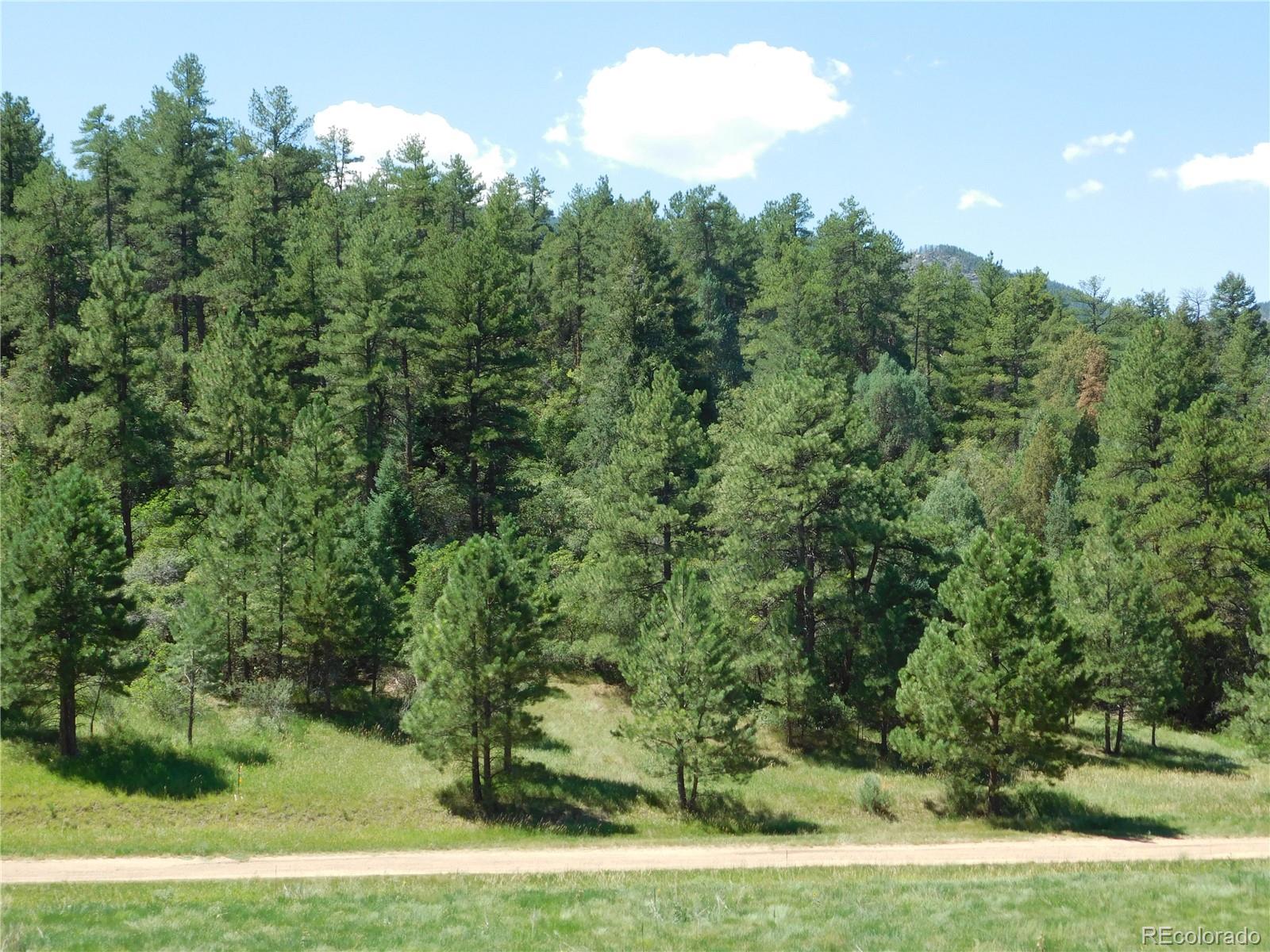 4668 Comanche Drive Larkspur CO 80118