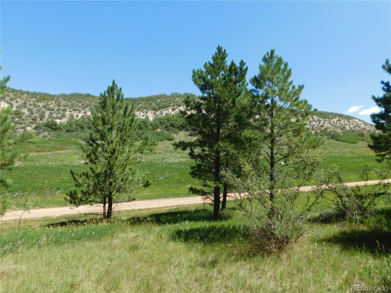 4668 Comanche Drive Larkspur CO 80118