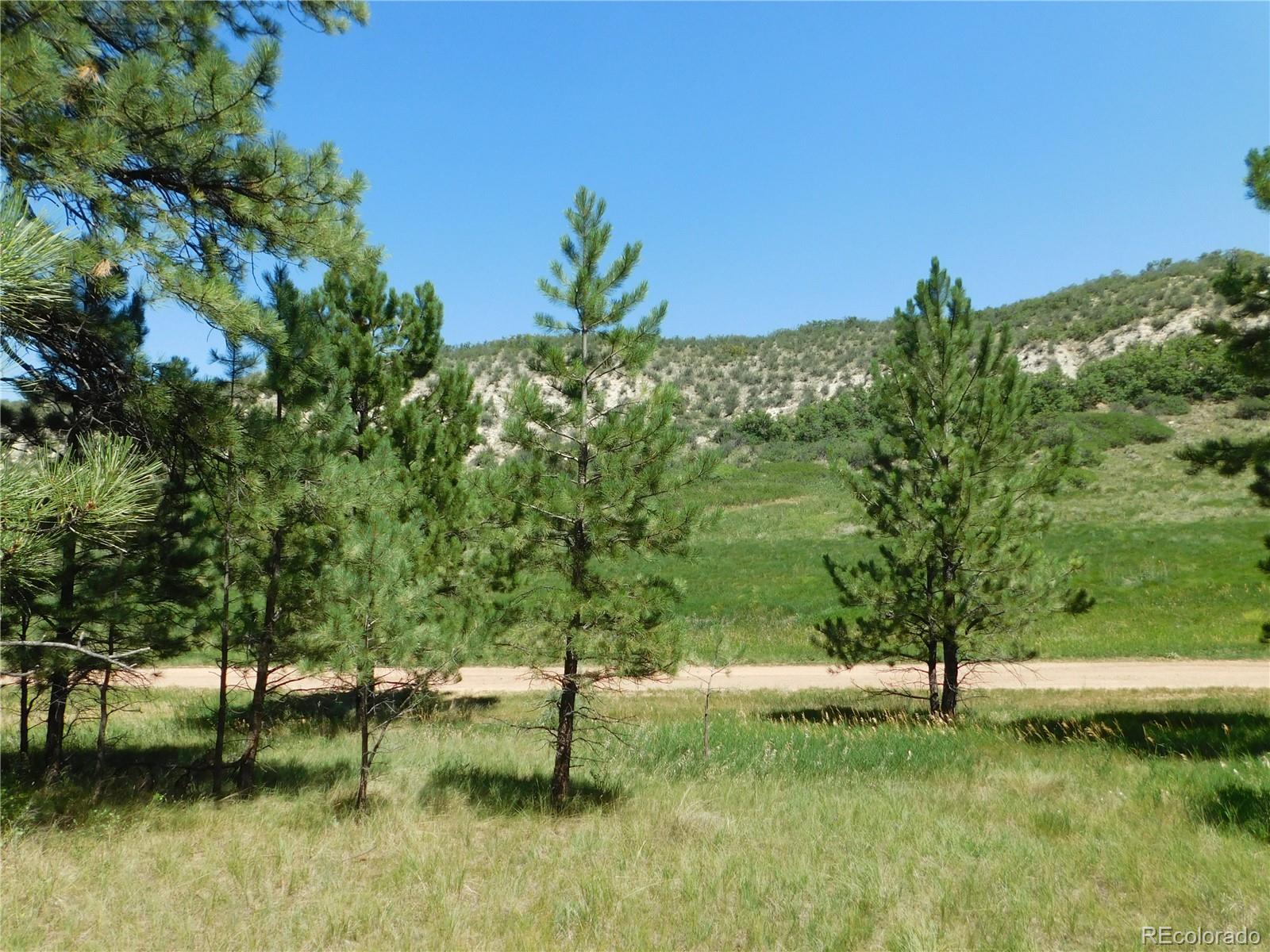 4668 Comanche Drive Larkspur CO 80118