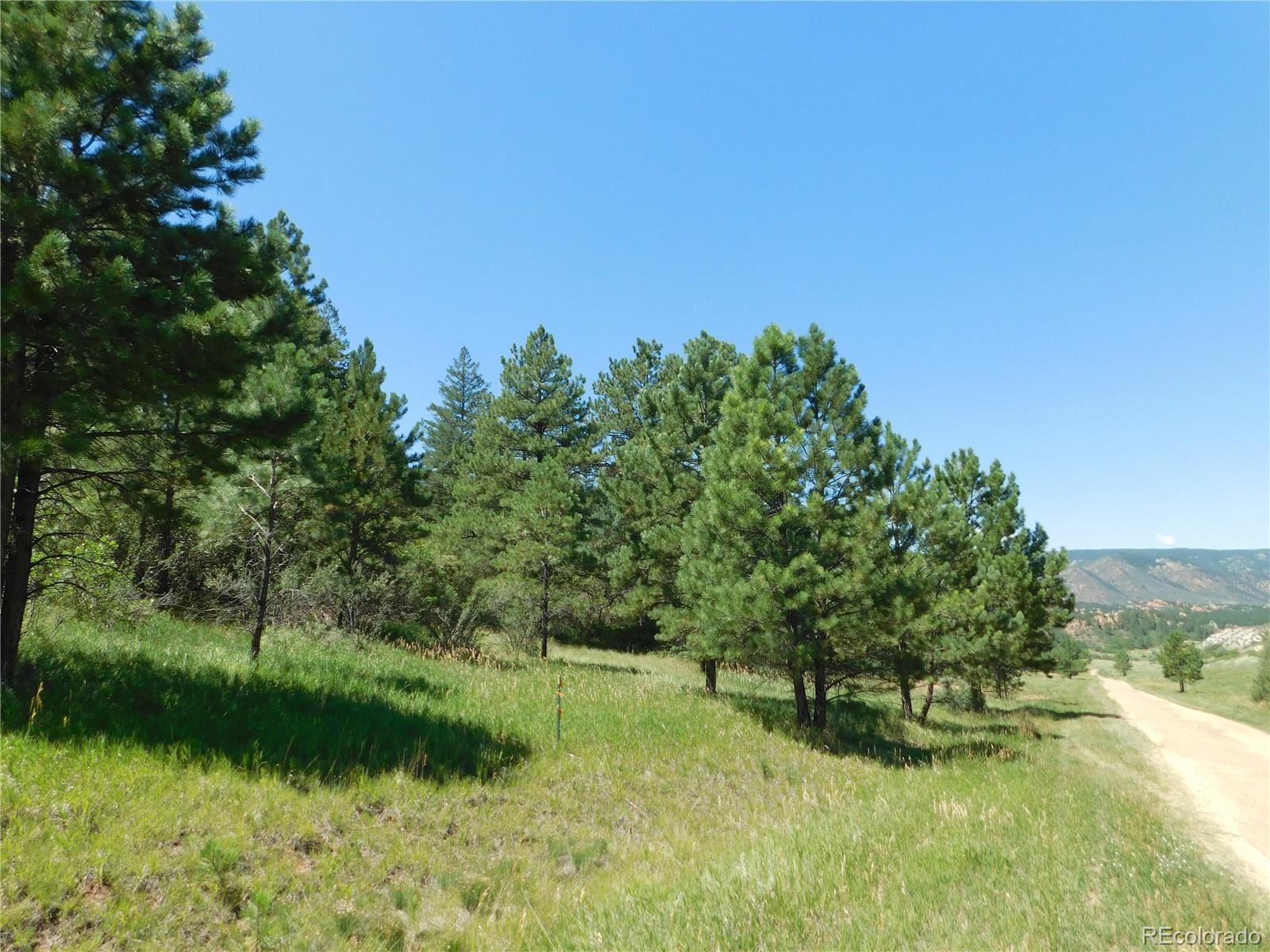 4668 Comanche Drive Larkspur CO 80118