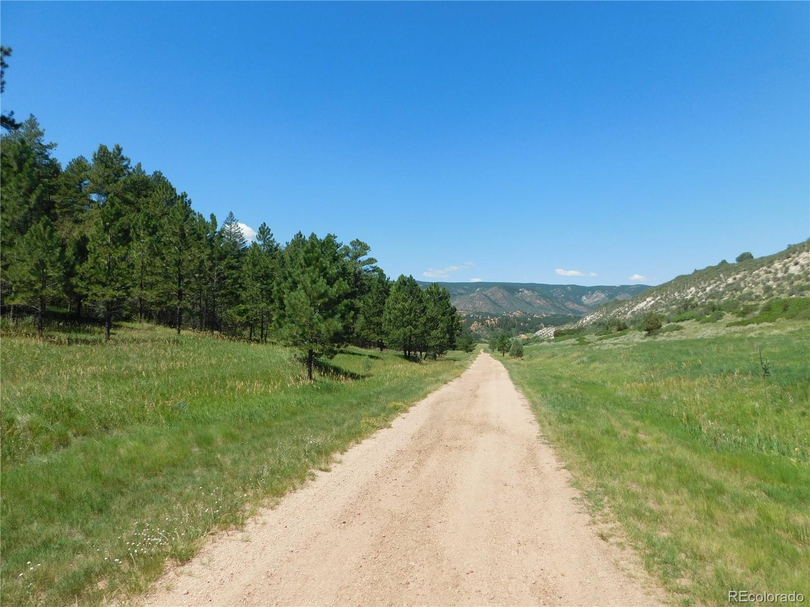 4668 Comanche Drive Larkspur CO 80118