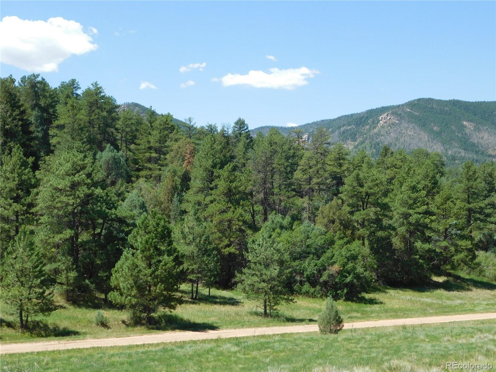 4668 Comanche Drive Larkspur CO 80118
