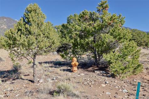 3402 Camino Del Rey Crestone CO 81131