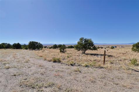 3402 Camino Del Rey Crestone CO 81131