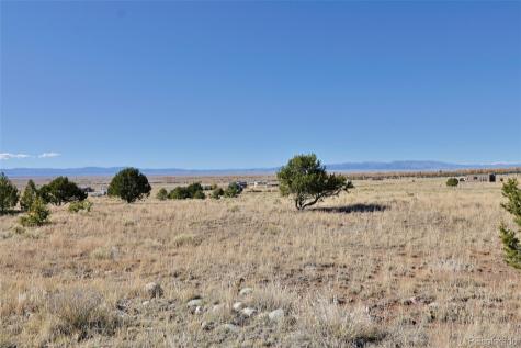 3402 Camino Del Rey Crestone CO 81131