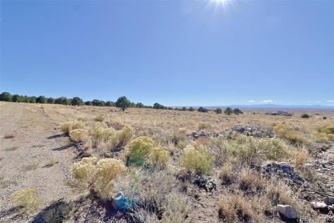 3402 Camino Del Rey Crestone CO 81131