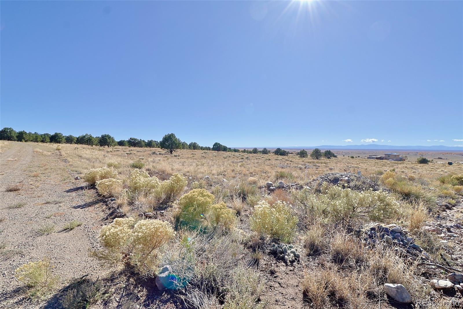 3402 Camino Del Rey Crestone CO 81131