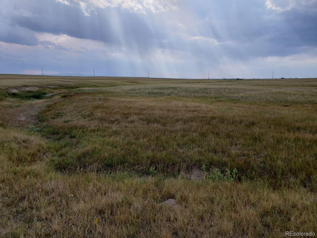 8155 Cowboy Ranch View Peyton CO 80831