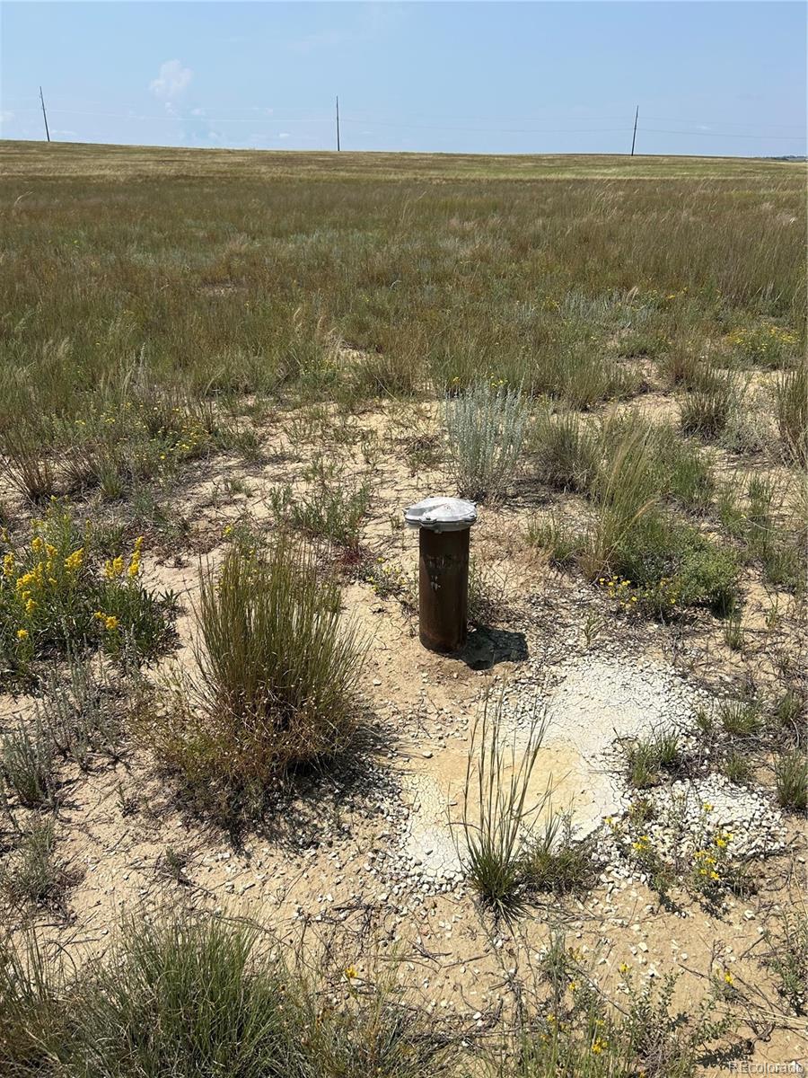 8155 Cowboy Ranch View Peyton CO 80831